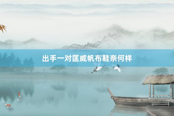 出手一对匡威帆布鞋奈何样