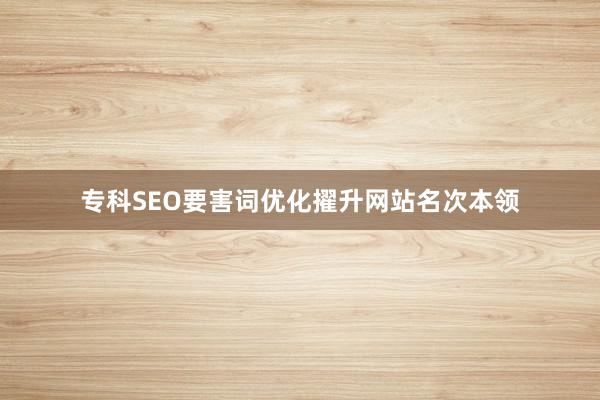 专科SEO要害词优化擢升网站名次本领