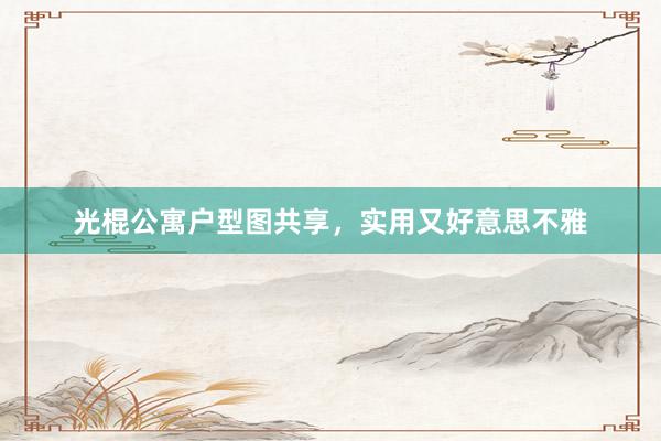 光棍公寓户型图共享，实用又好意思不雅