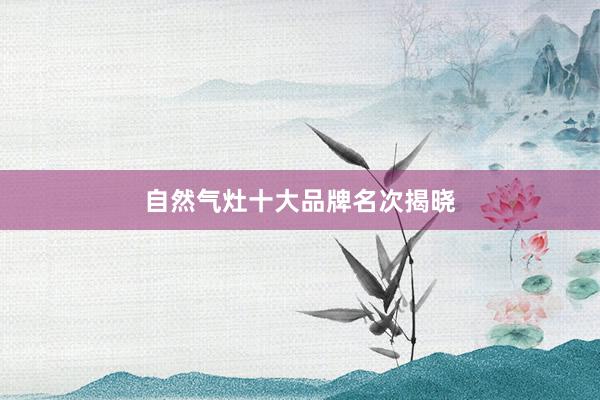 自然气灶十大品牌名次揭晓