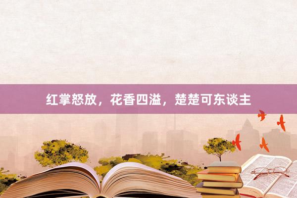 红掌怒放，花香四溢，楚楚可东谈主