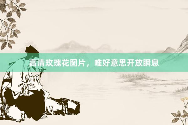 高清玫瑰花图片，唯好意思开放瞬息