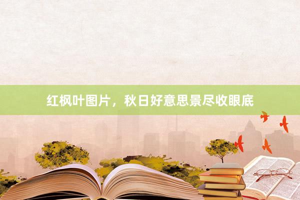 红枫叶图片，秋日好意思景尽收眼底