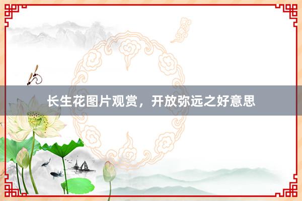 长生花图片观赏，开放弥远之好意思